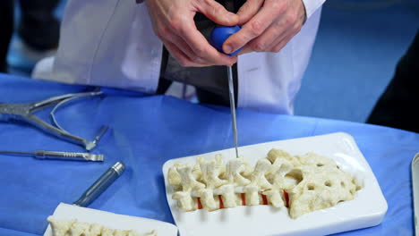 unknown male educator in white robe takes a tool pointing at spine bones model. training in neurosurgery.