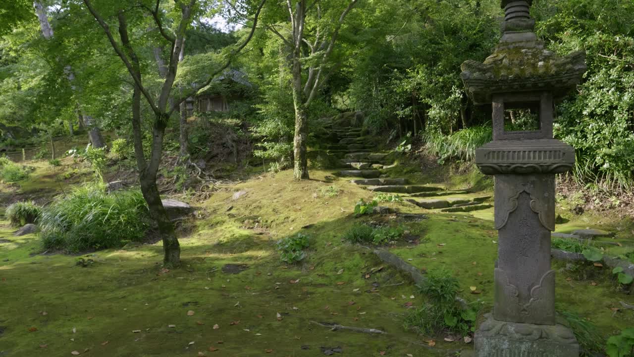 Slow right moving slider over beautiful landscape garden with moss cover in Japan