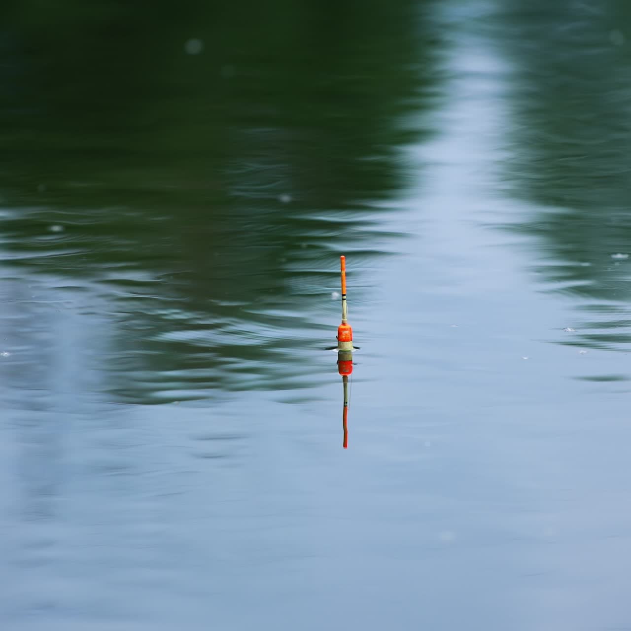 Fishing float holding still in the peaceful river. Little circle appearing on the water surface. Blurred backdrop