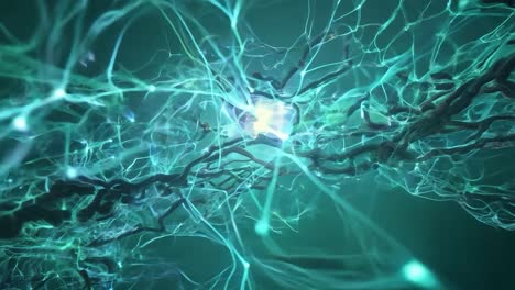 los impulsos eléctricos viajan a través de una red de neuronas, transmitiendo información vital dentro del sistema de comunicación del cerebro