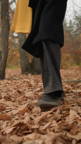 vista de ángulo inferior de una persona caminando por el bosque con follaje seco, con zapatos de lona y vaqueros negros, moviéndose majestuosamente entre las hojas de otoño caídas