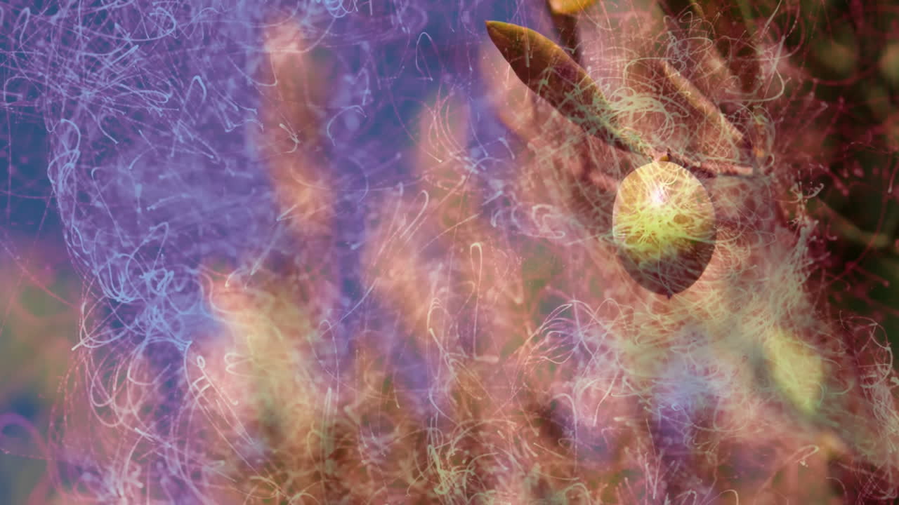 Colorful animation of light trails surrounding olive branch in nature setting