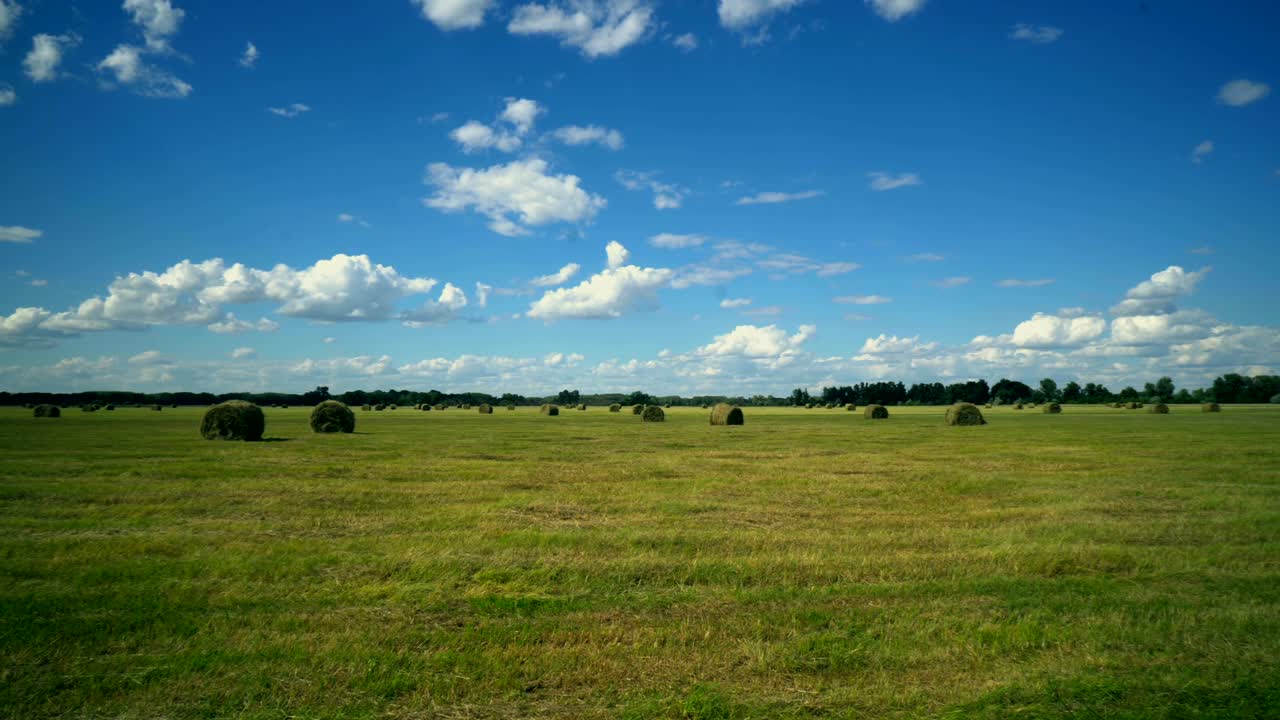 아름다움 구름 하늘과 함께 필드에 의