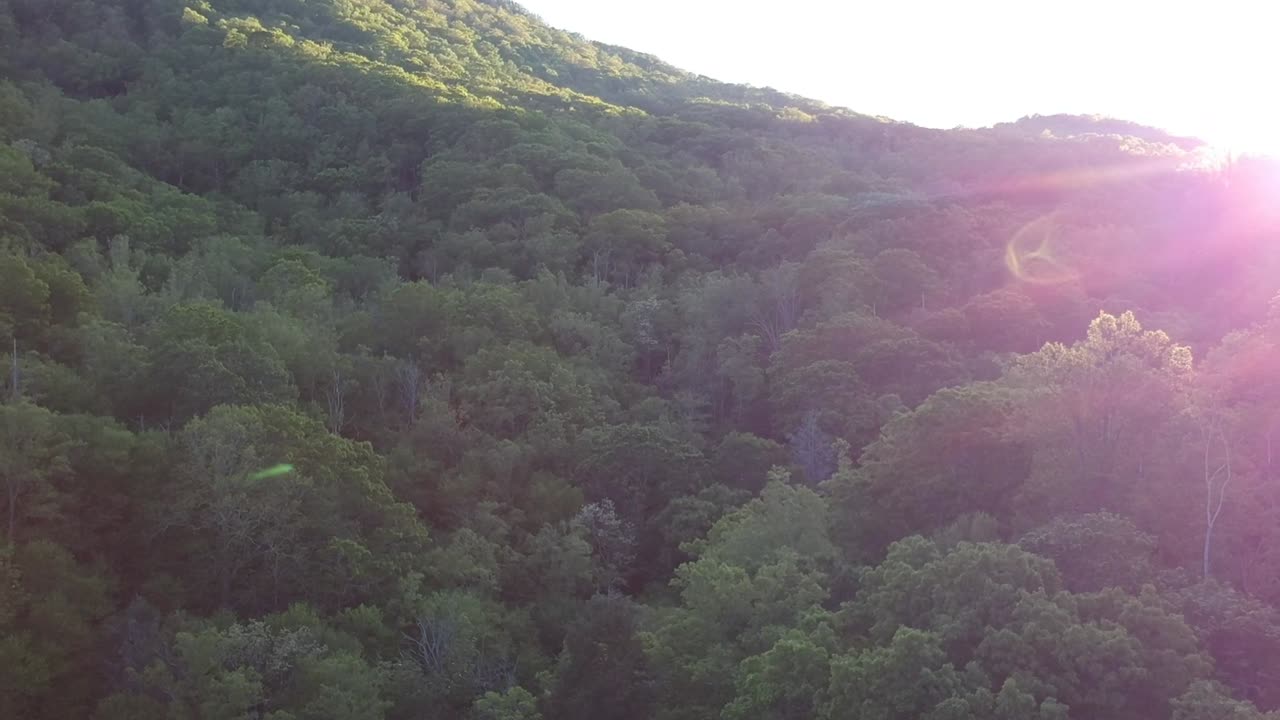 렌즈 플레어로 해가 지는 순간에 촬영된 패닝 드론