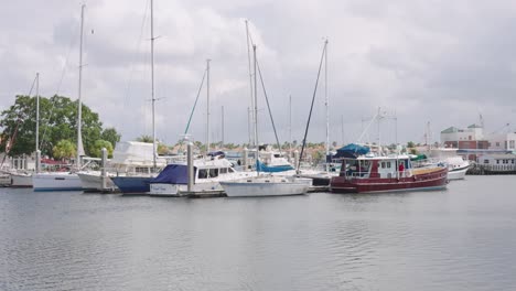 boats docked in marina on cloudy day