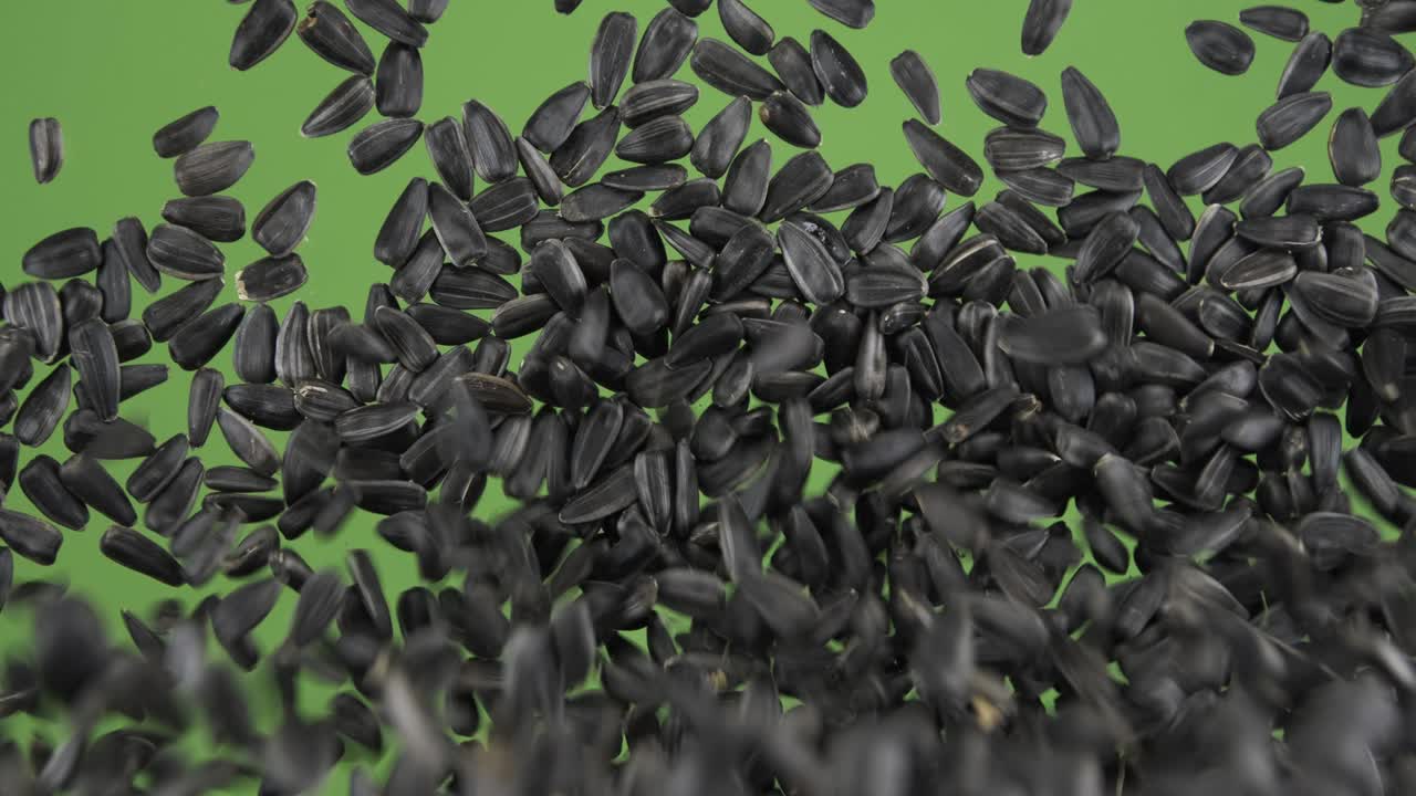 Top view of falling down sunflower grains. The seeds fall and fill the green screen. Grain background