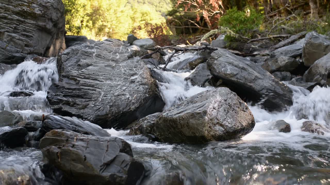 pequeña cascada en un arroyo, bosque bañado por una luz dorada en el fondo
