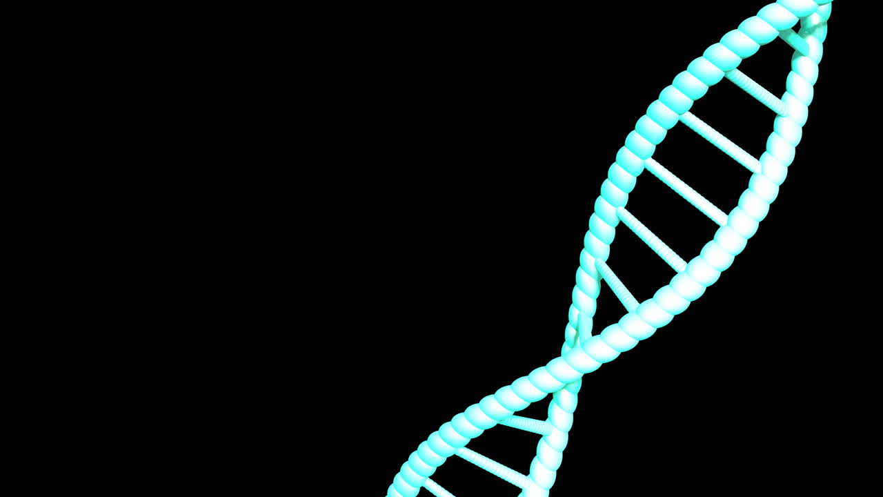 animación de la cadena de adn girando con espacio de copia sobre fondo negro