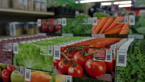 seed packets for various vegetables and herbs in a store