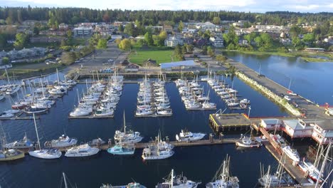 Aerial--view-of--boat-marina