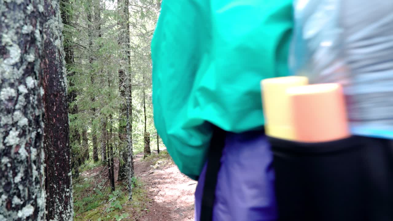 숲에서 산책하는 것