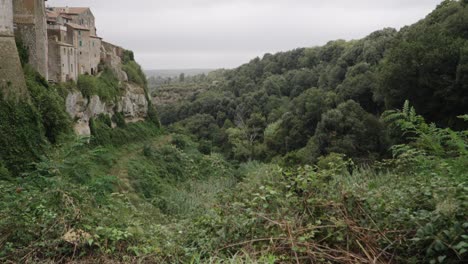 Pueblo-Medieval-Italiano-Junto-A-Un-Bosque,-La-Cámara-Se-Inclina-Hacia-Abajo-Y-Hacia-Arriba.