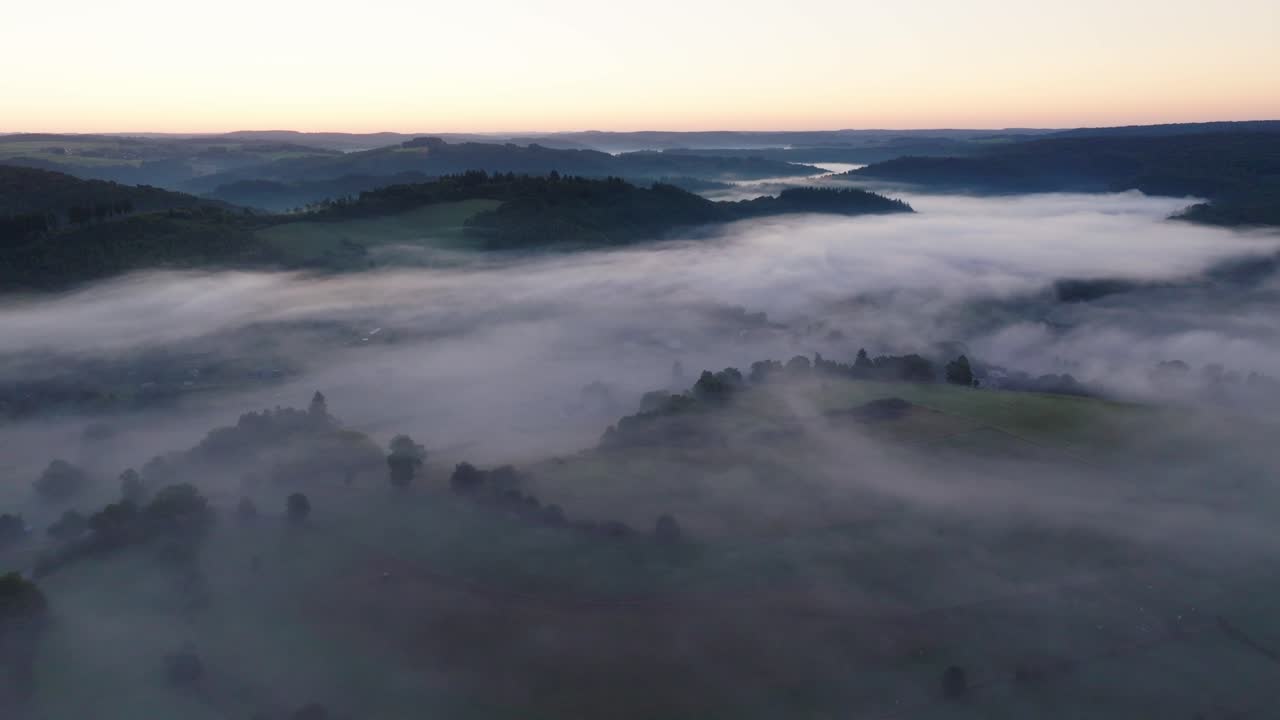 Foggy Sunrise over Forest Landscape