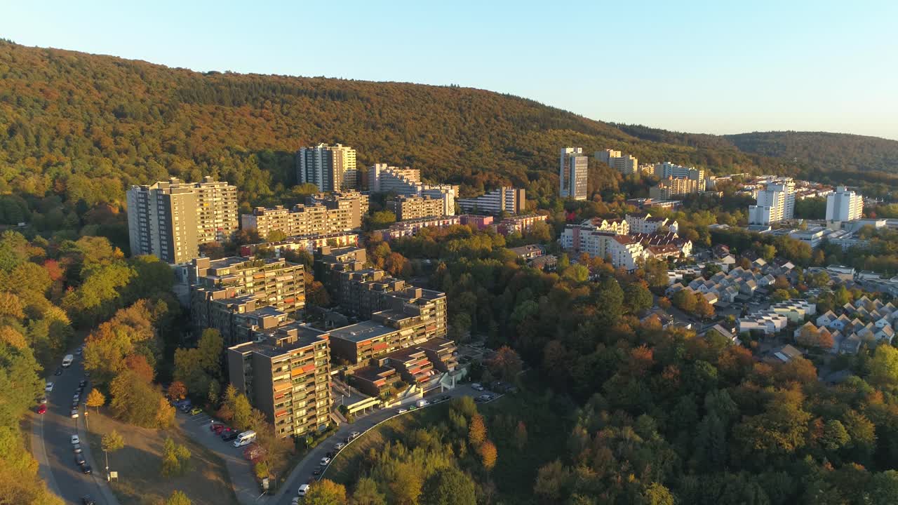 나무에 공중 드론 영상 도시