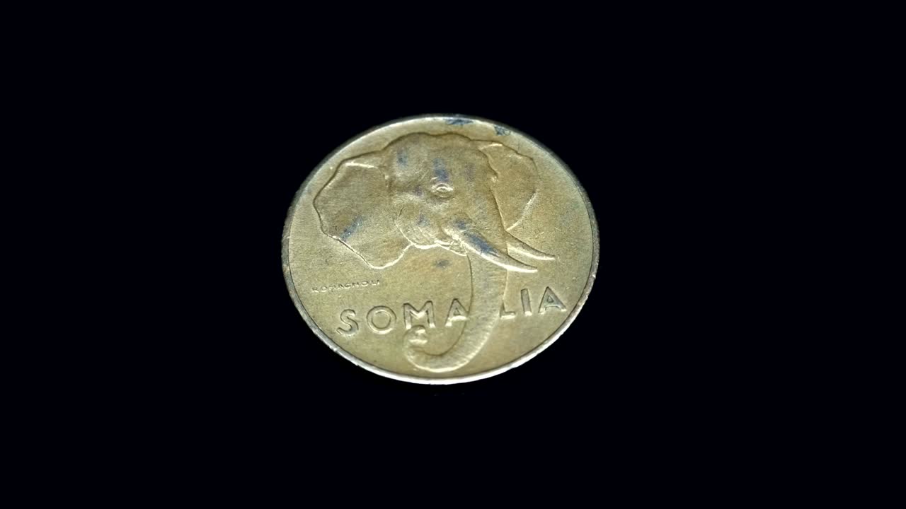 moneda somalí de 5 centavos de 1950 lanzamiento gira sobre un fondo negro. macro. primer plano