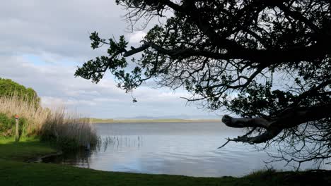 Blick-Auf-Die-Weitläufige-Lagune-Mit-Baum---Schilf-Im-Vordergrund