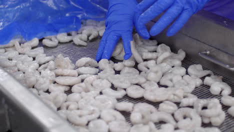 shrimp processing
