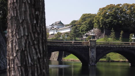 Bridge-over-Pond-in-Tokyo-Japan