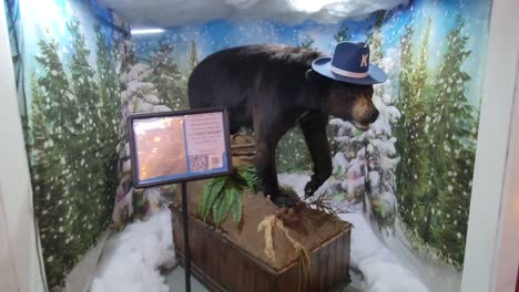 cocaine bear in the kentucky for kentucky fun mall