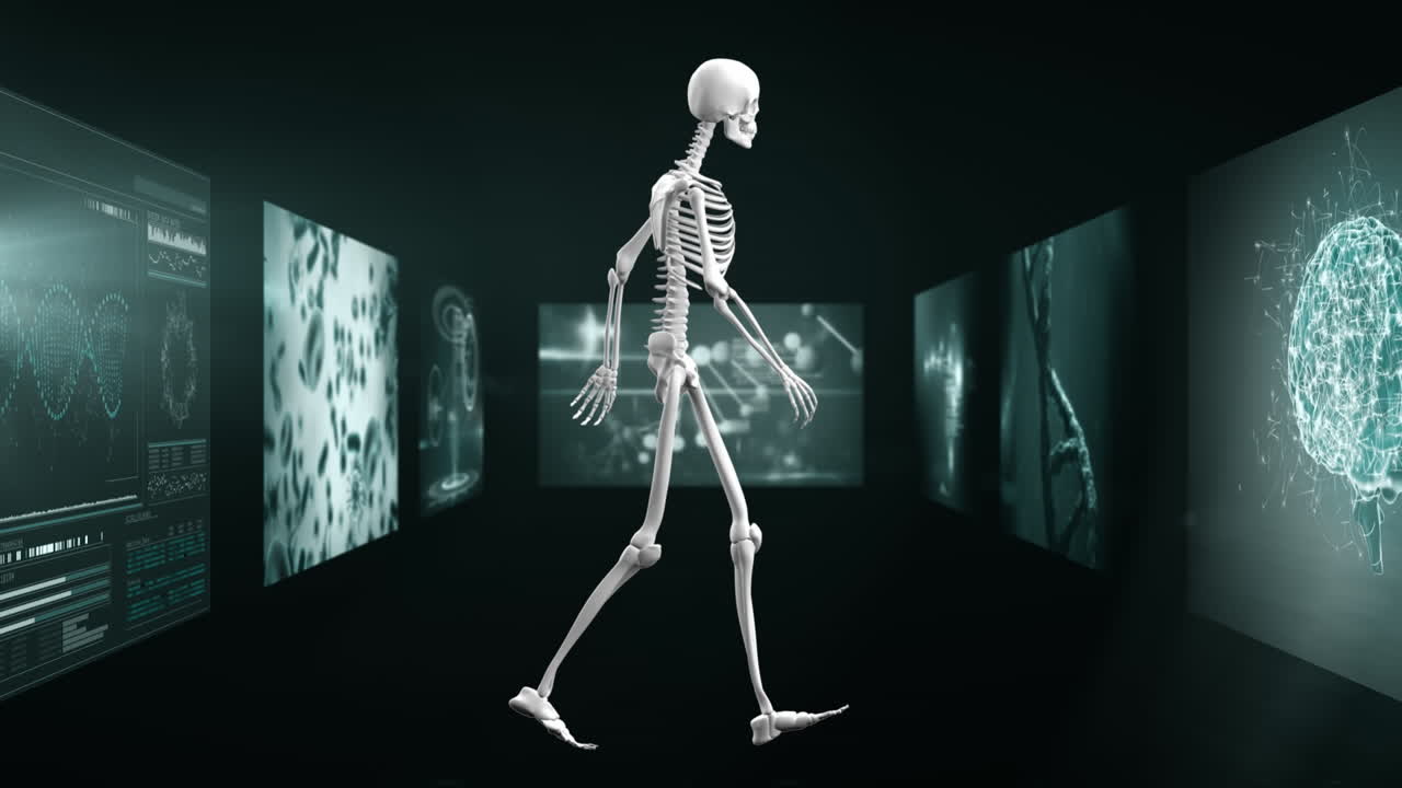 animación del procesamiento de datos y el esqueleto sobre fondo negro