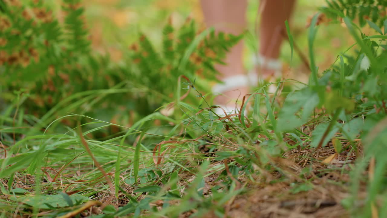 Lower body view of lady wearing white sandals walking gently along forest path surrounded by green leaves and golden ferns, sunlight filtering through trees