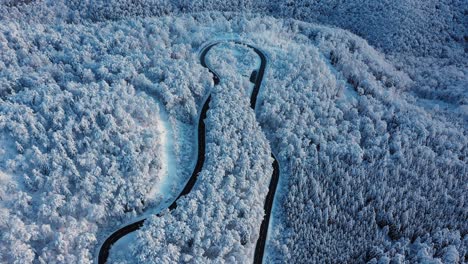 Atemberaubende-Drohnenaufnahmen-Von-Einem-Bergpass-In-Einem-Schneebedeckten-Wald