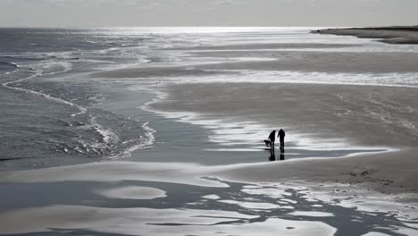 ingoldmells south is a sandy beach on the lincolnshire coastline located near the resort town of the same name