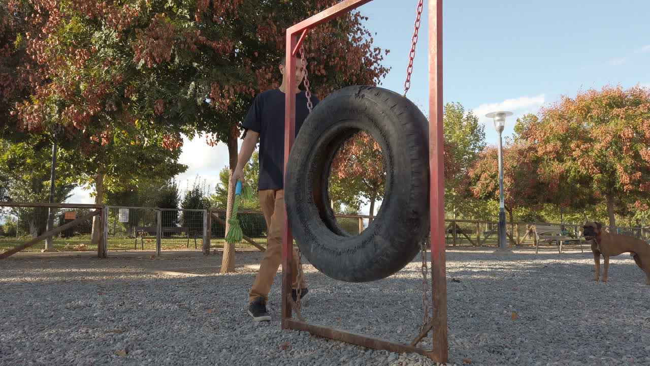 Young man playing and training with a dog. Brown boxer dog