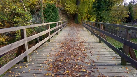 a view of a wooden bridge with falling leaves