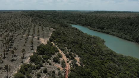 Praia-Do-Satu-Drohnenaufnahmen-4k-Sonnenschein-Strand-Von-Satu-Bahia-Caraiva-Brasilien-Fluss