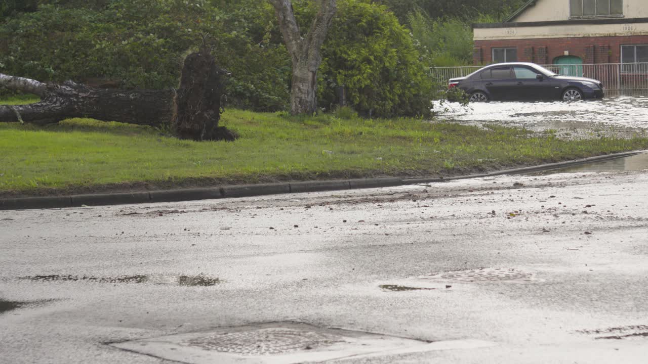 Flooding and Storm Damage with Fallen Tree and Car