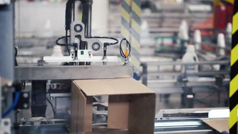 automated cardboard box packaging line