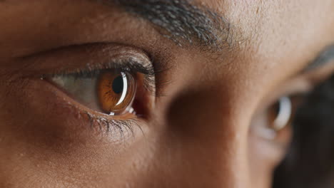 close up macro beauty brown eyes blinking natural beauty cosmetics concept