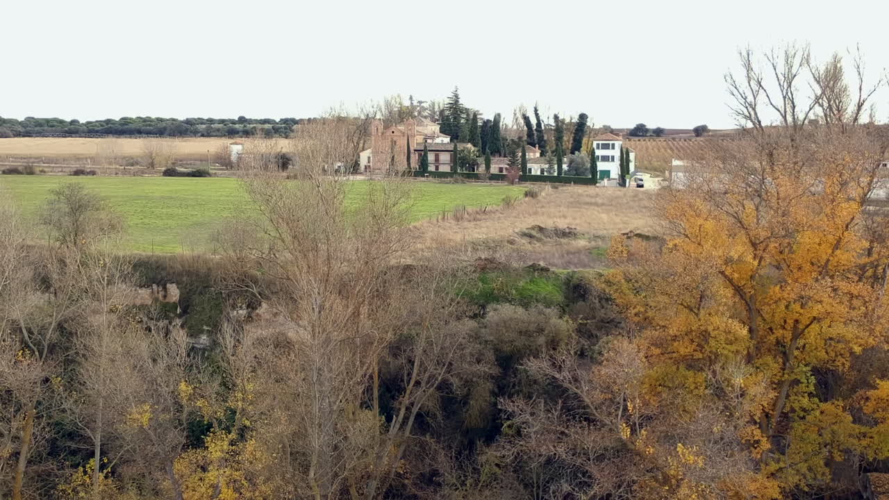 숲의 오래된 물레방앗간