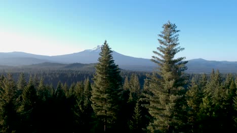 Pedestal-shot-to-reveal-snow-capped-peak