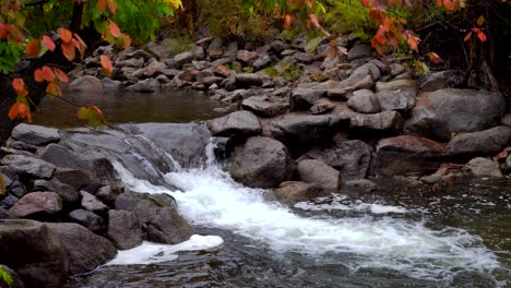 Herbstfarben-Im-Boulder-Creek,-Boulder,-Colorado