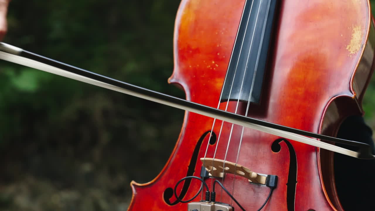 Detail of woman playing cello. Hand of woman playing the cello on nature