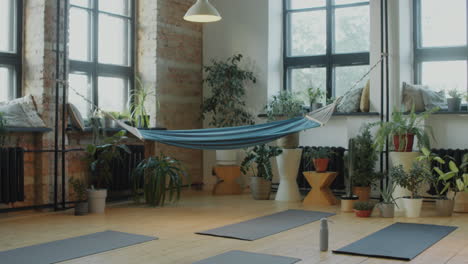 tranquil yoga studio with indoor plants and hammock