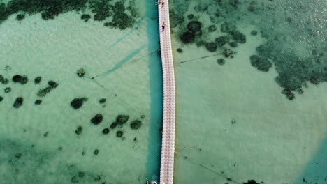 vista superior de un muelle en aguas claras con corales