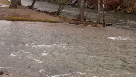 un río fluye en una bifurcación bajo la lluvia durante el invierno