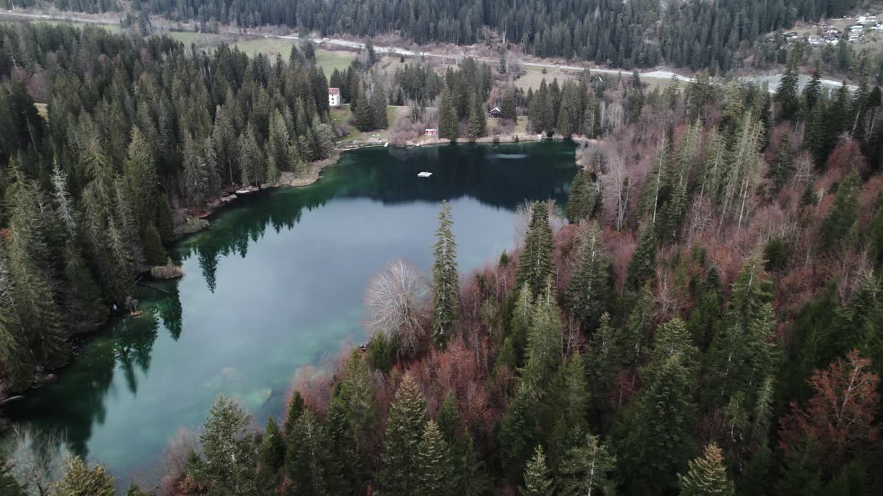 Ripresa aerea che rivela un lago tra pinete in una giornata nuvolosa in Svizzera