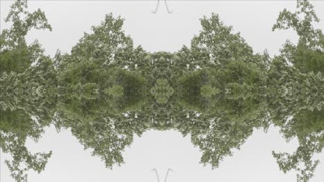 greenery kaleidoscope using forest imagery from wissahickon creek, philadelphia, #18