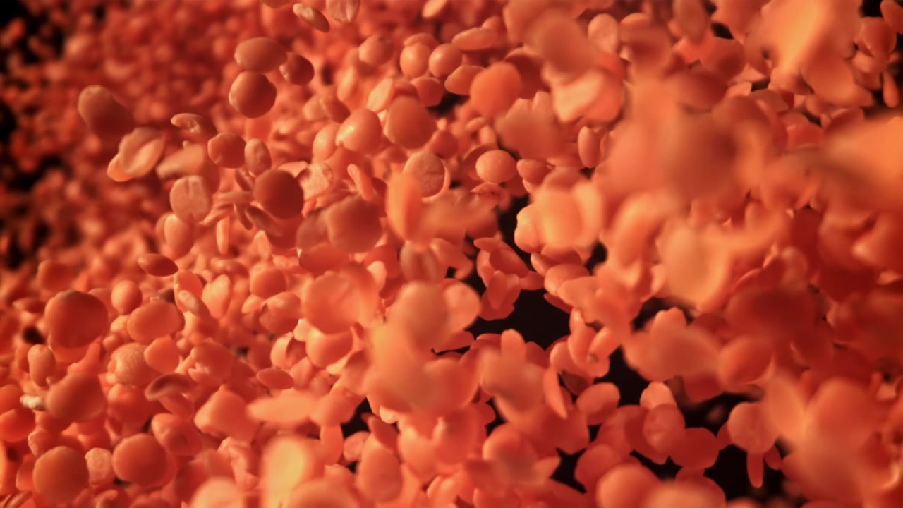 Slow Motion Red Lentils Falling on a Black Background
