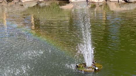 close up on fountain with water jets creating rainbow in pond