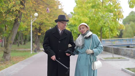 Elderly Couple Strolling Arm-in-Arm in an Autumn Park