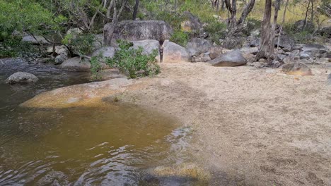 Punto-De-Vista-Mirando-Alrededor-Del-Agujero-Para-Nadar-Junto-A-La-Pequeña-Zona-De-Playa-De-Arena-En-Las-Cataratas-De-Emerald-Creek