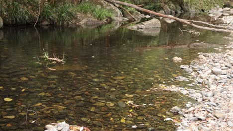 a serene river scene with changing water flow