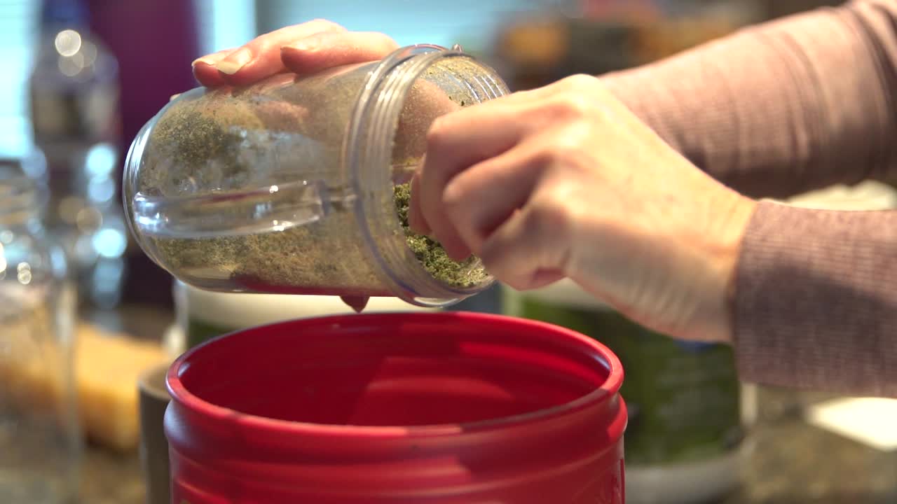 사람은 합법적인 식용 치료제를 준비하기 위해 가공된 대마초에서 줄기를 조심스럽게 골라냅니다 - 중간 샷