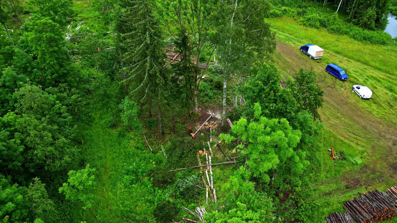 Birdseye view from a green forest, trees are being cut for construction or agricultural needs, zoom out in slow motion