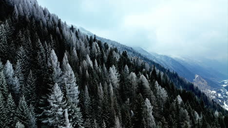 Elevándose-Sobre-El-Denso-Bosque-Invernal-Con-árboles-Coníferos-Cerca-Del-Pueblo-De-Bedretto-En-Val-Bedretto,-Ticino,-Suiza